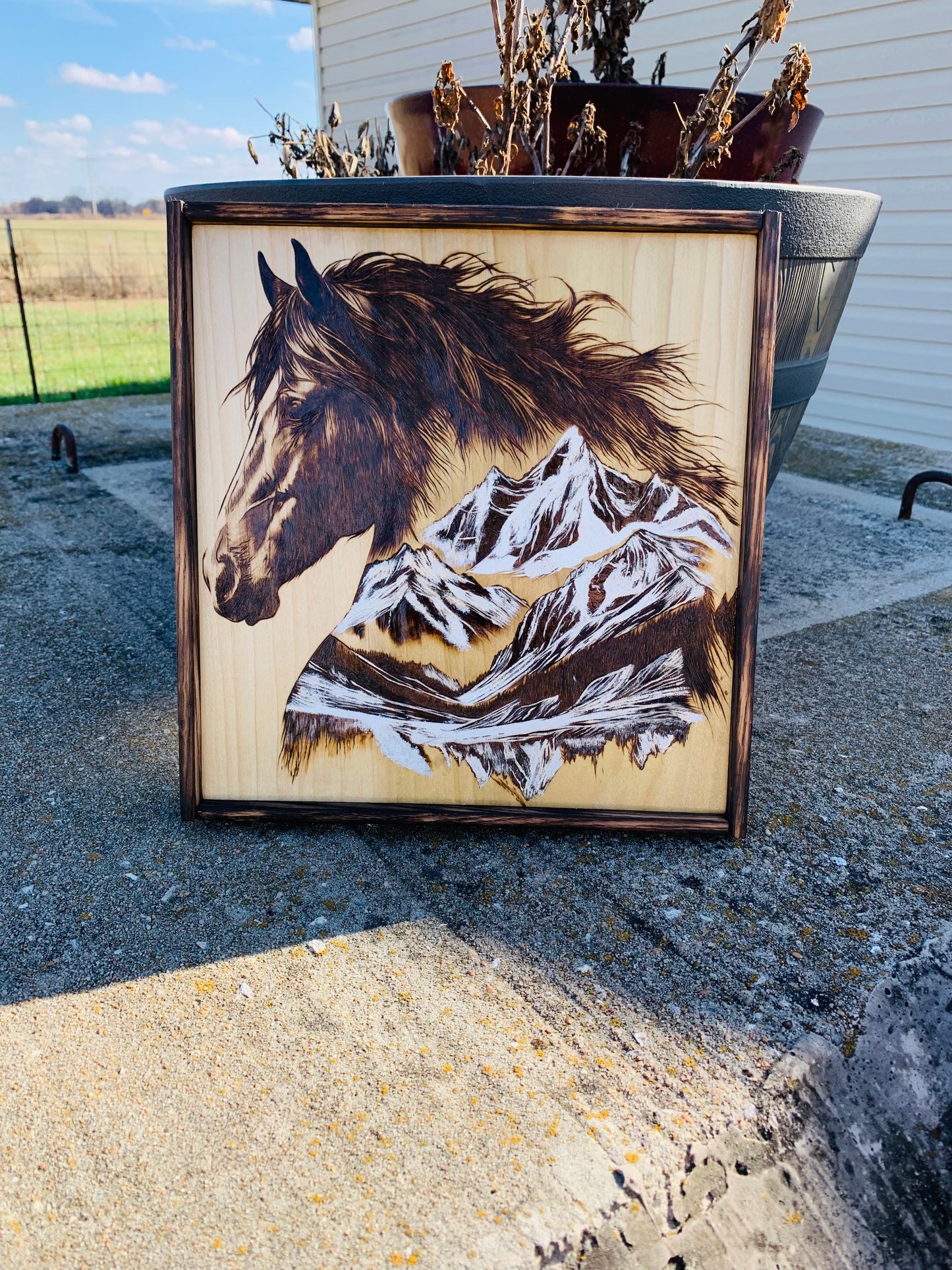 Hand Burned and Hand Painted "Wild Mustang Horse/Mountain Scene"