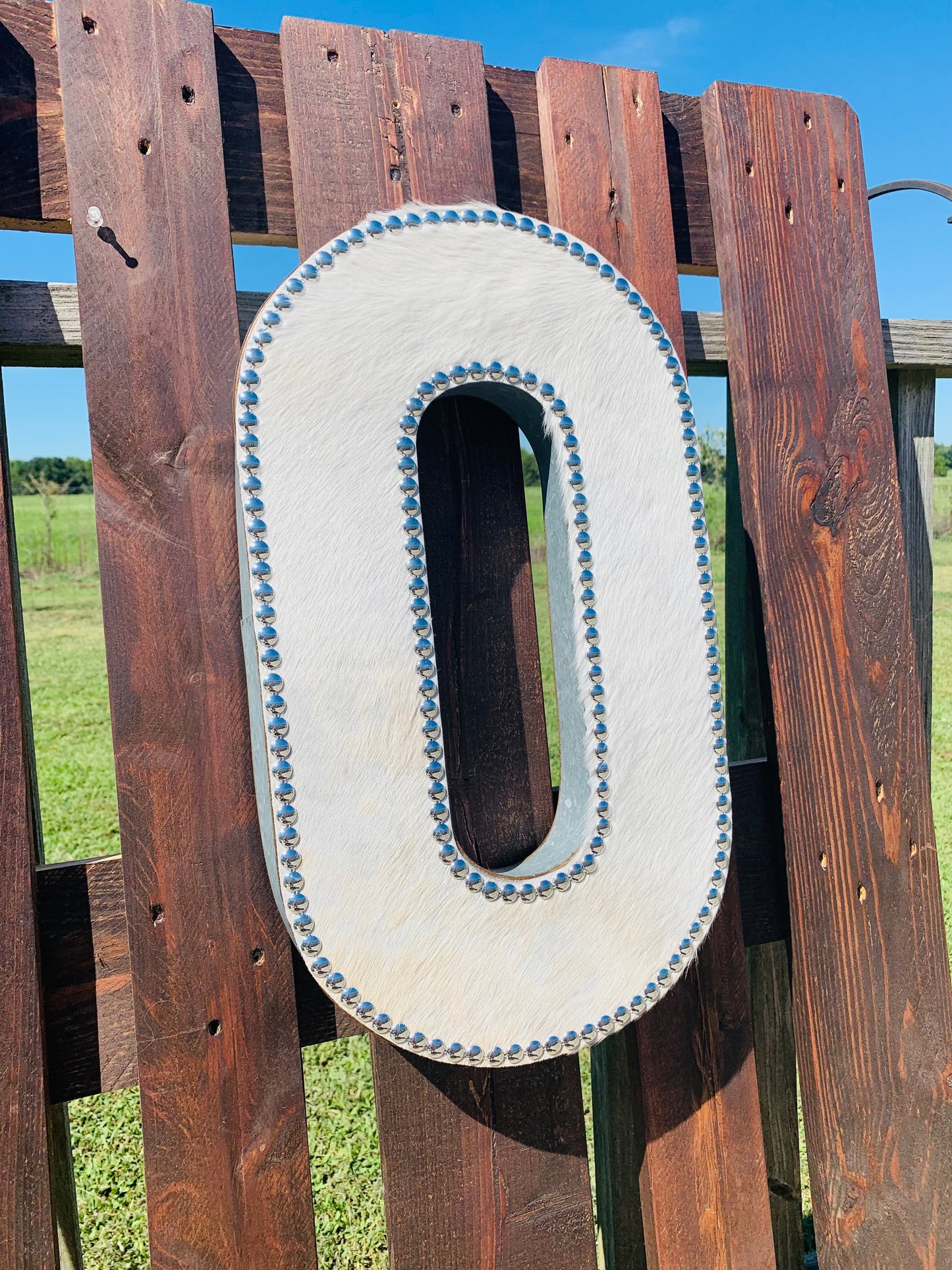 Galvanized Metal Initial Letter Wild Western Dreams