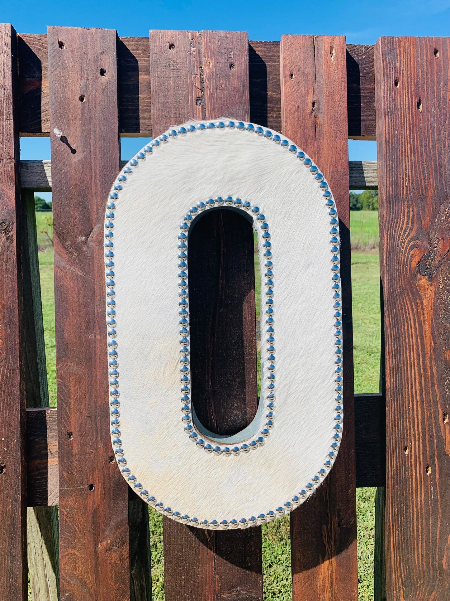 Galvanized Metal Initial Letter Wild Western Dreams