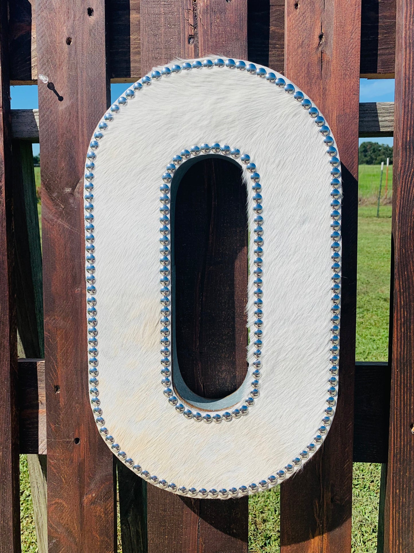 Galvanized Metal Initial Letter Wild Western Dreams