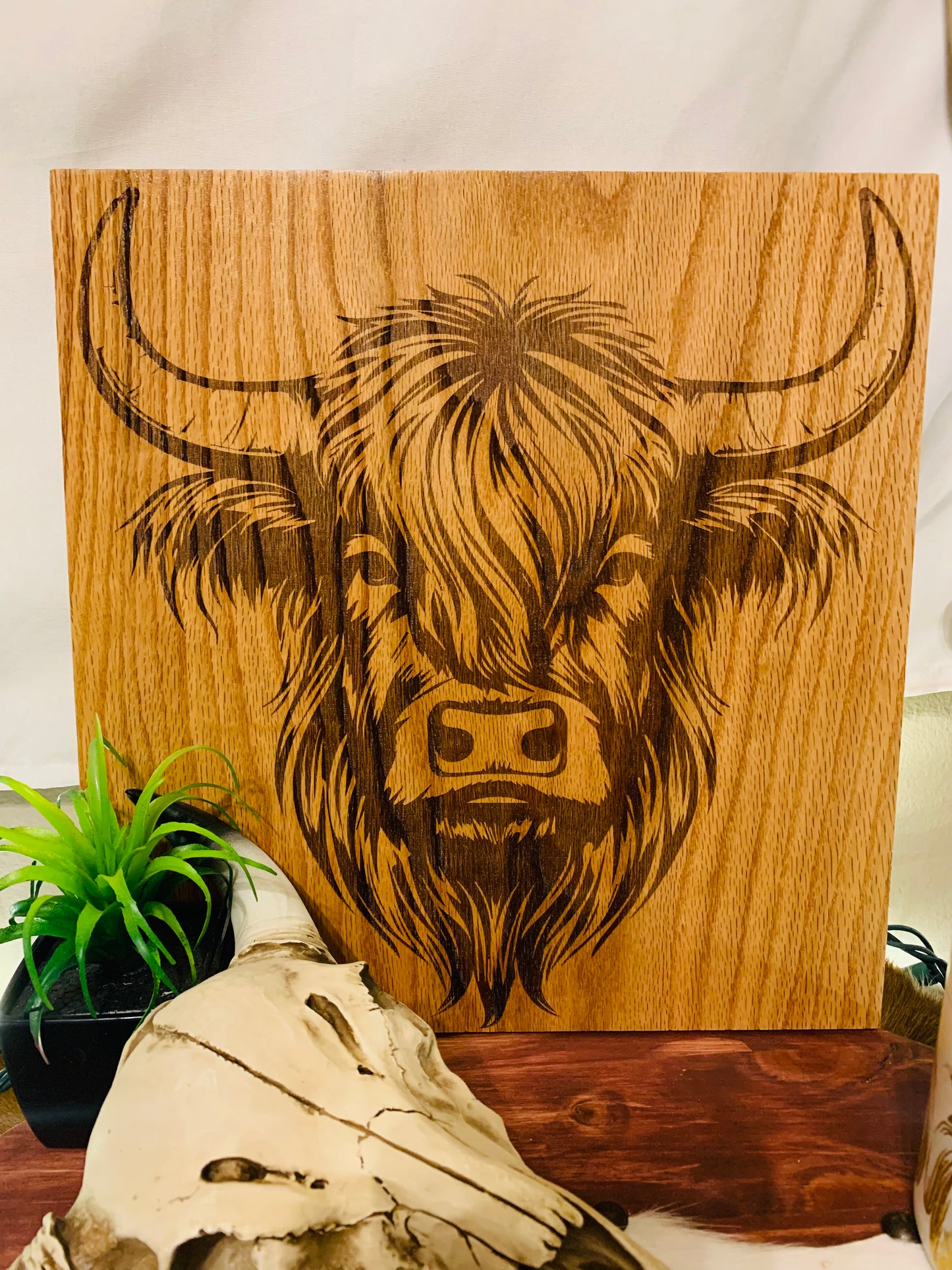 Laser Burned "Highland Cow"