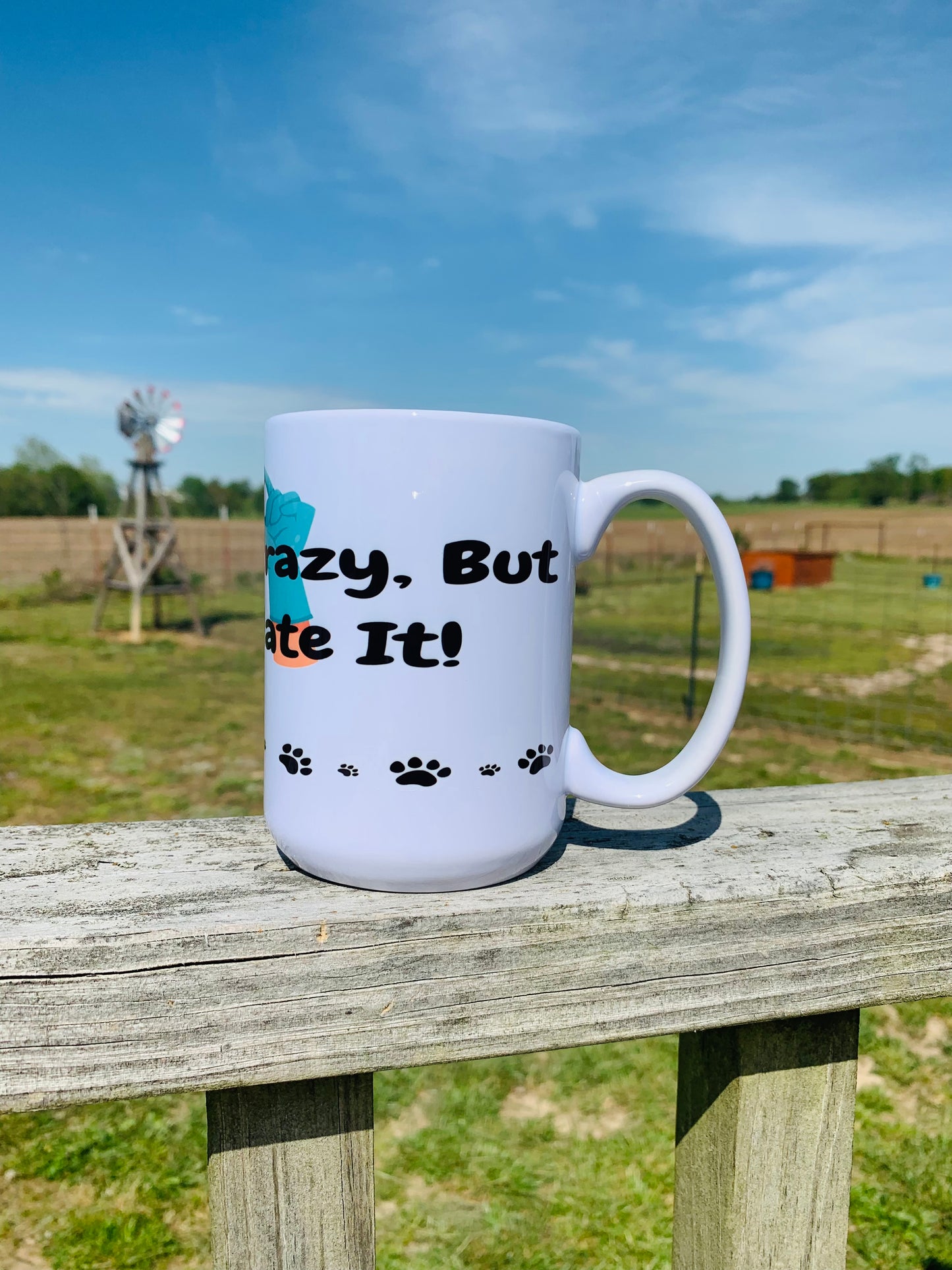 Fix Crazy Mug