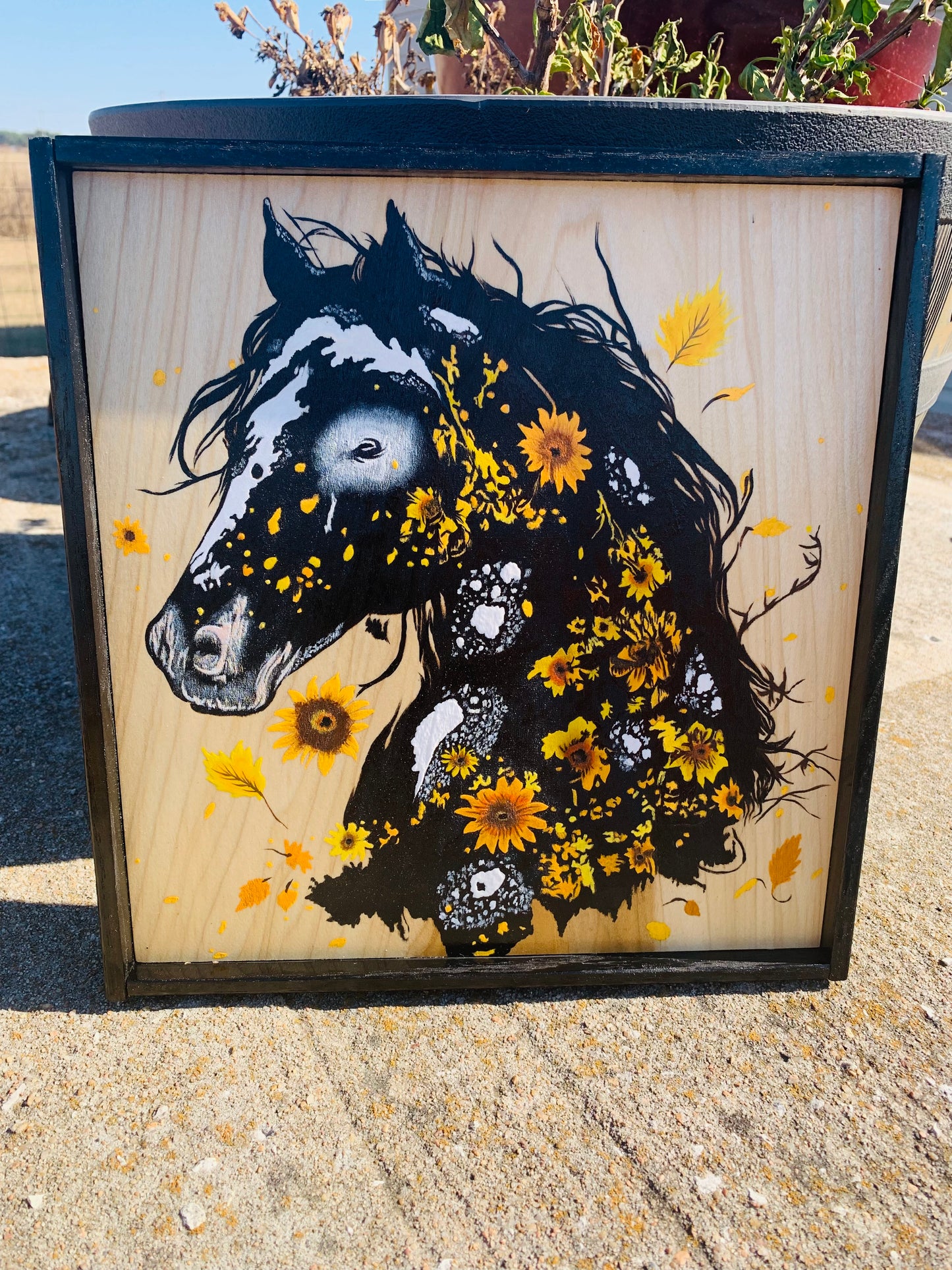 Laser Burned and Hand Painted "Black Appaloosa Horse"