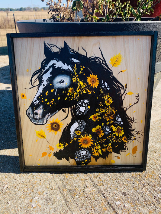 Laser Burned and Hand Painted "Black Appaloosa Horse"