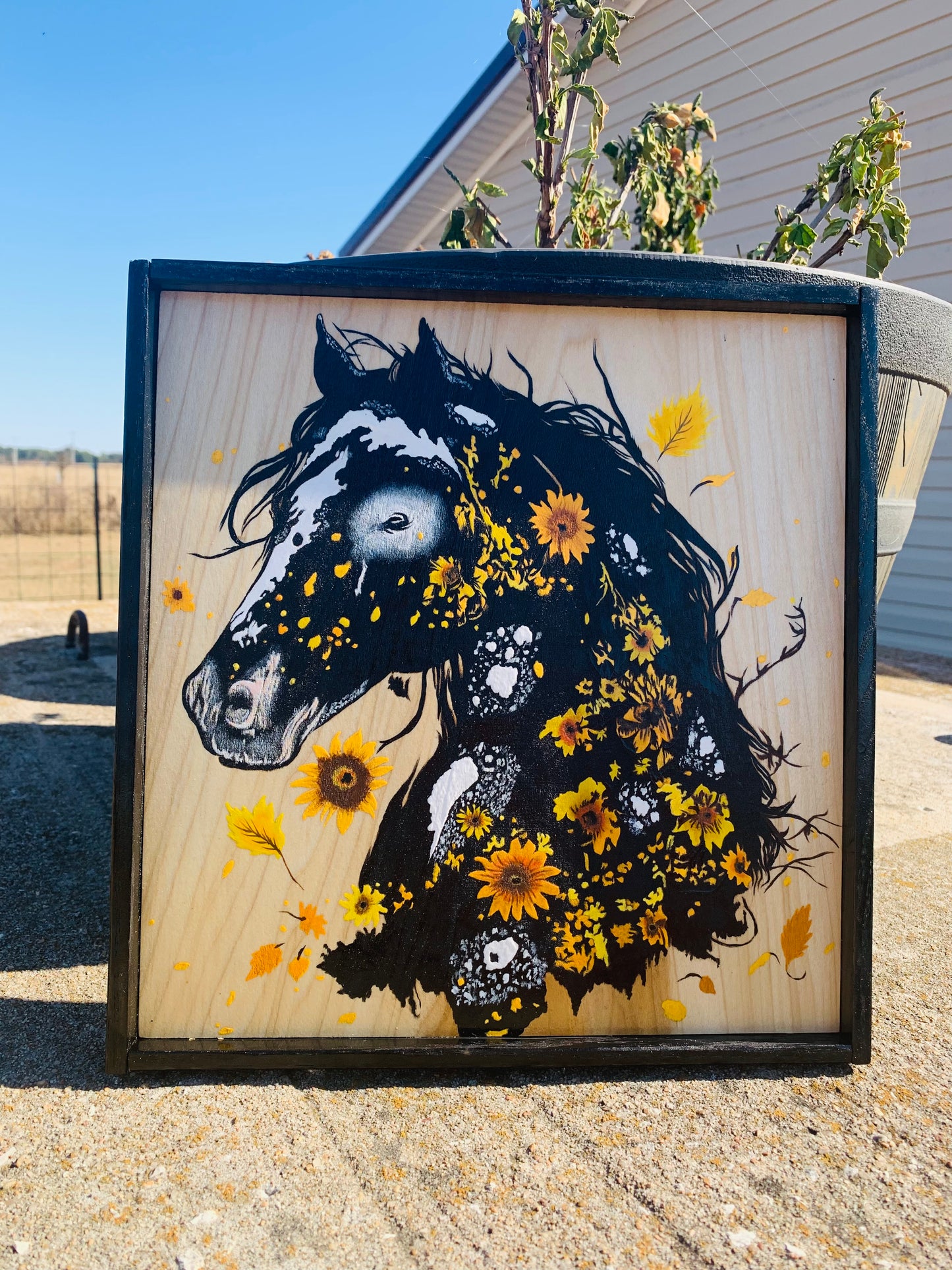 Laser Burned and Hand Painted "Black Appaloosa Horse"