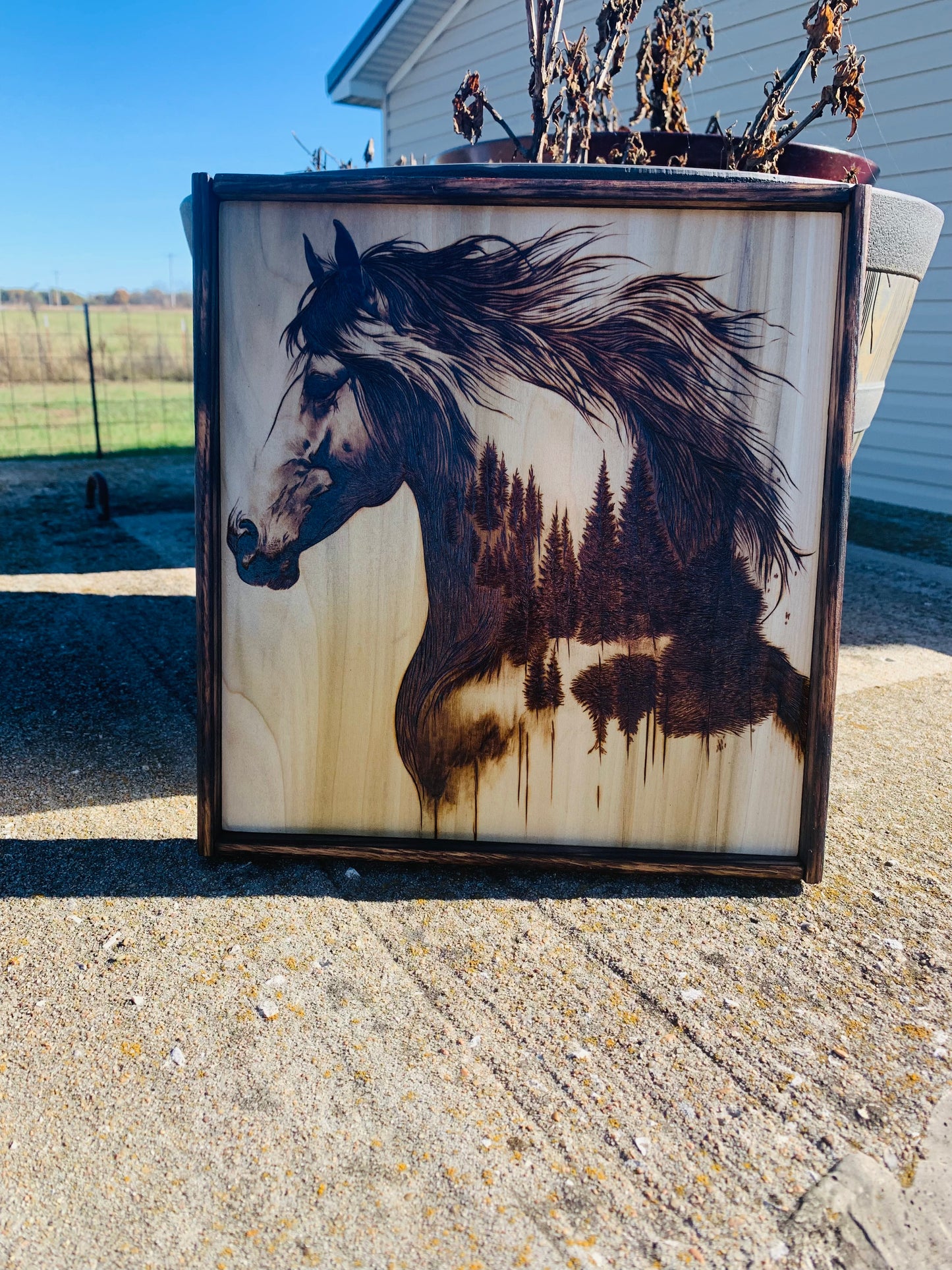 Hand Burned "Wild Mustang Horse/Forest Scene"