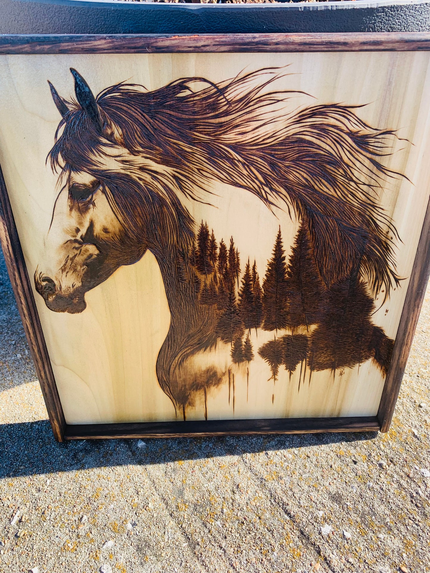 Hand Burned "Wild Mustang Horse/Forest Scene"