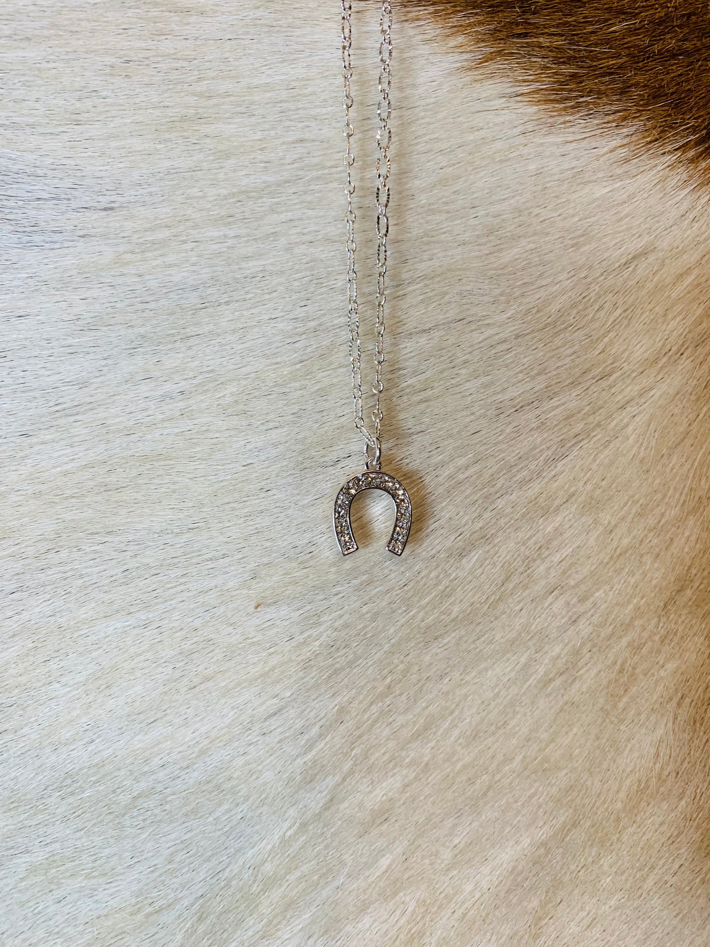Bright Silver Horseshoe Necklace