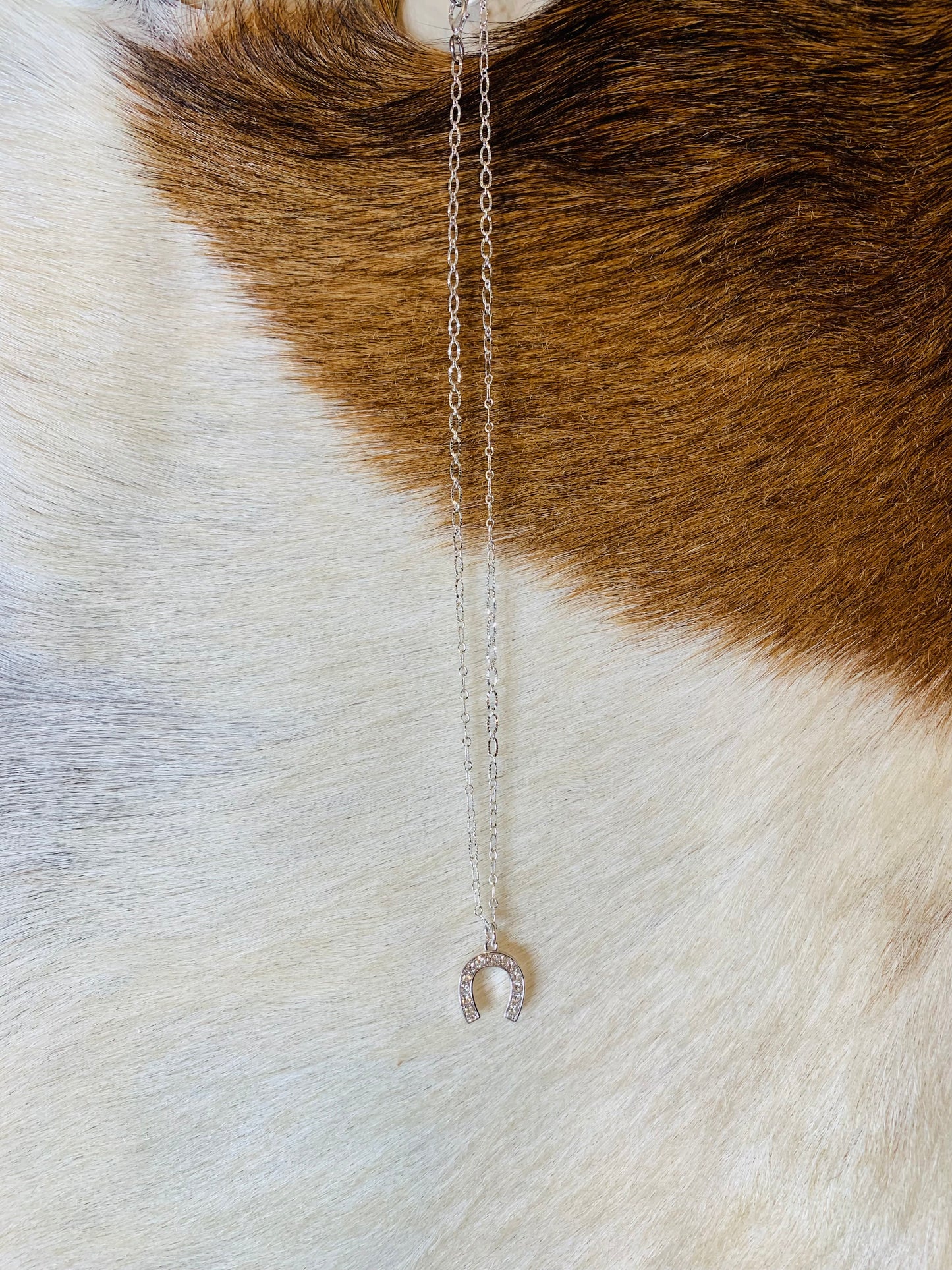 Bright Silver Horseshoe Necklace
