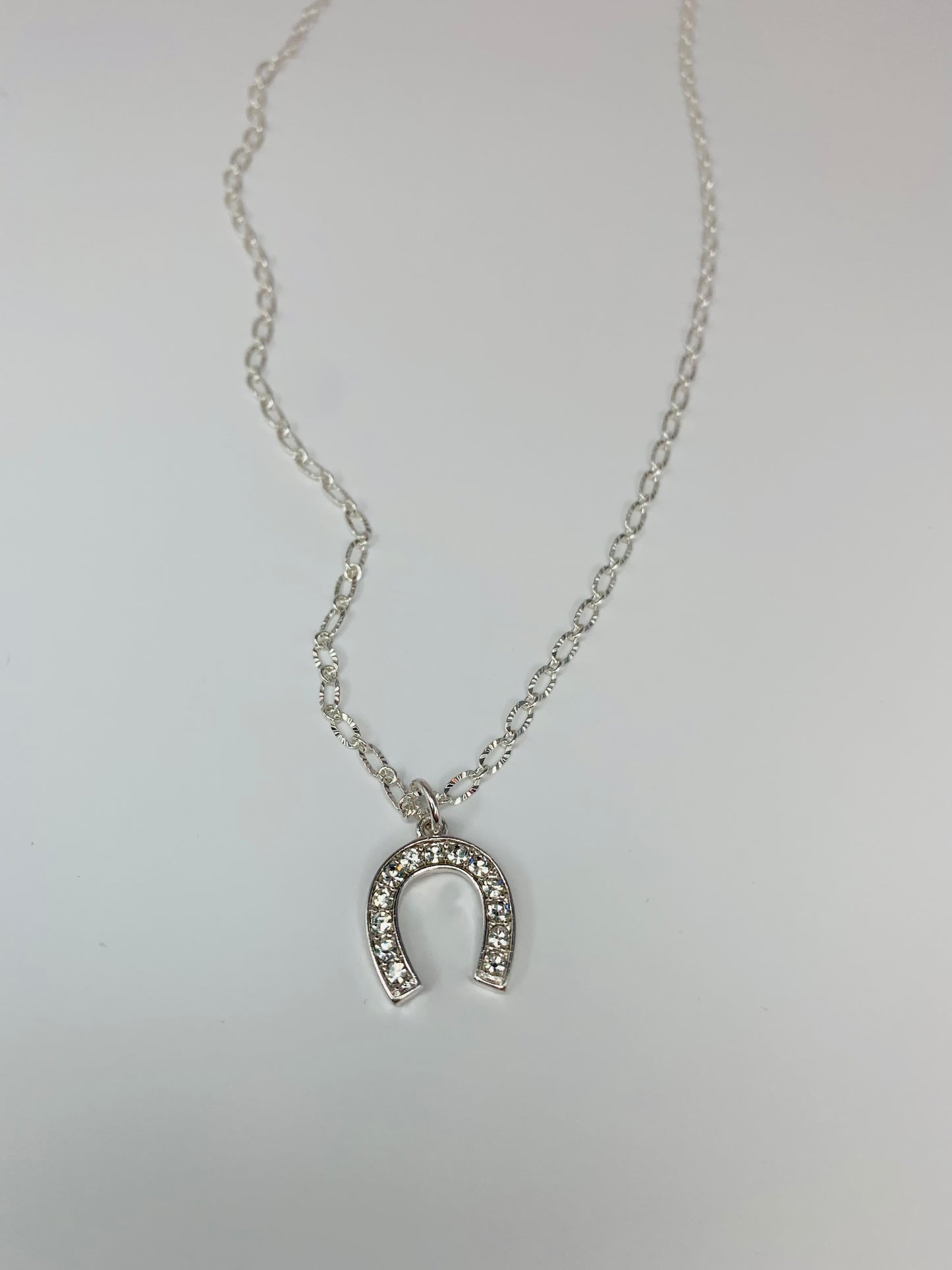 Bright Silver Horseshoe Necklace