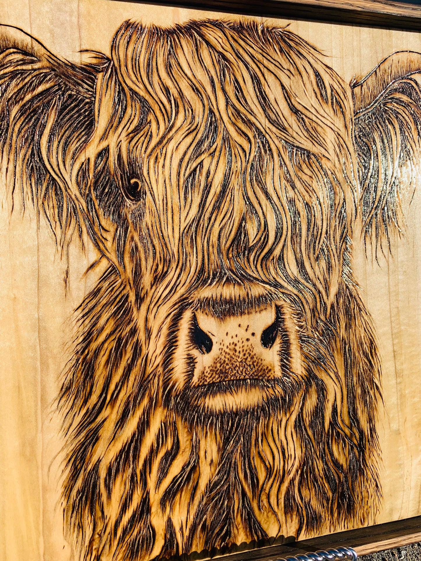 Hand Burned "Highland Cow"