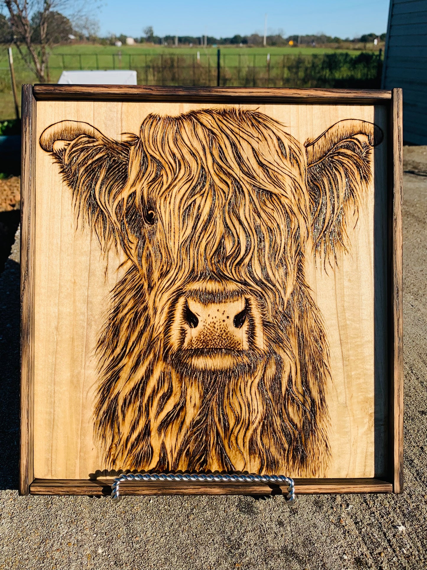 Hand Burned "Highland Cow"