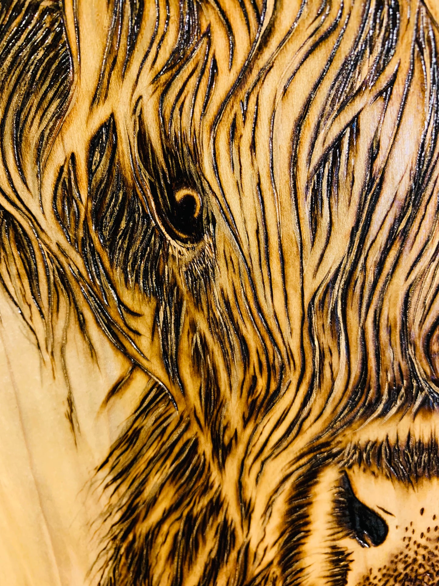 Hand Burned "Highland Cow"