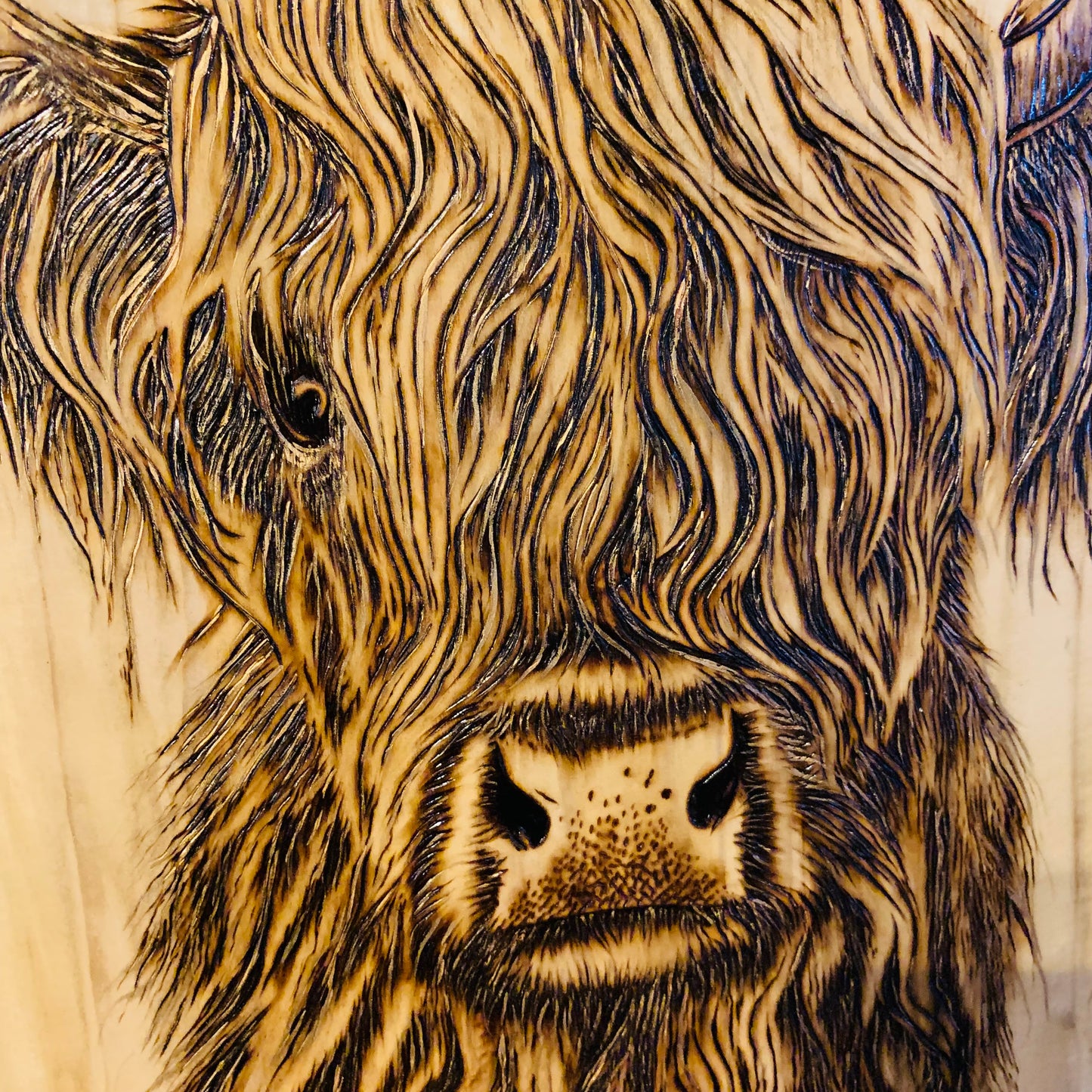 Hand Burned "Highland Cow"