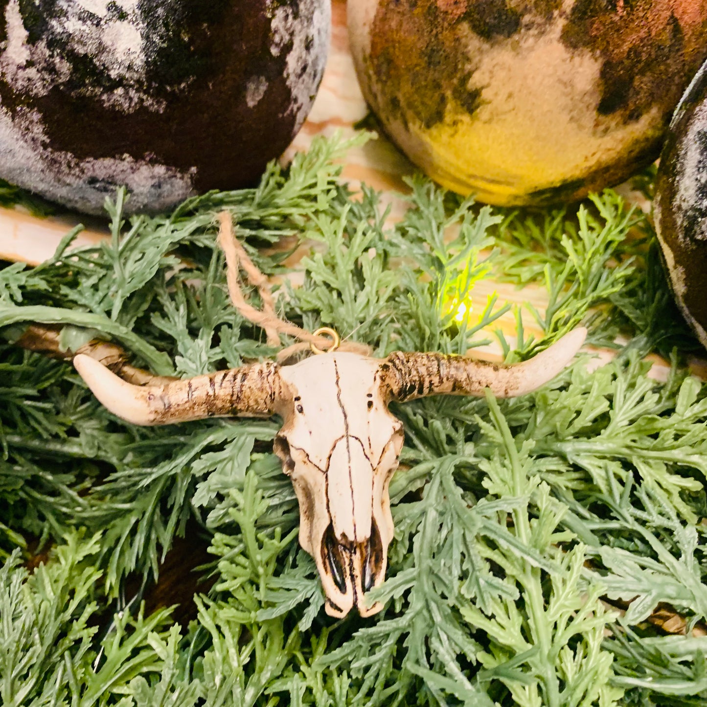 Rustic Longhorn Ornaments -9pc Set